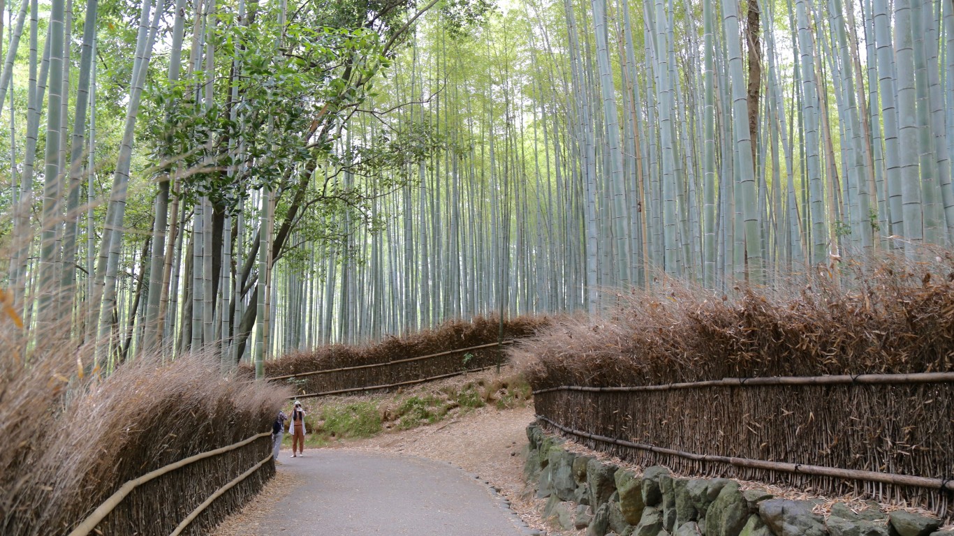 The Japanese Beauty Secret: 14 Unexpected Lessons I Learned on My Latest Trip  
